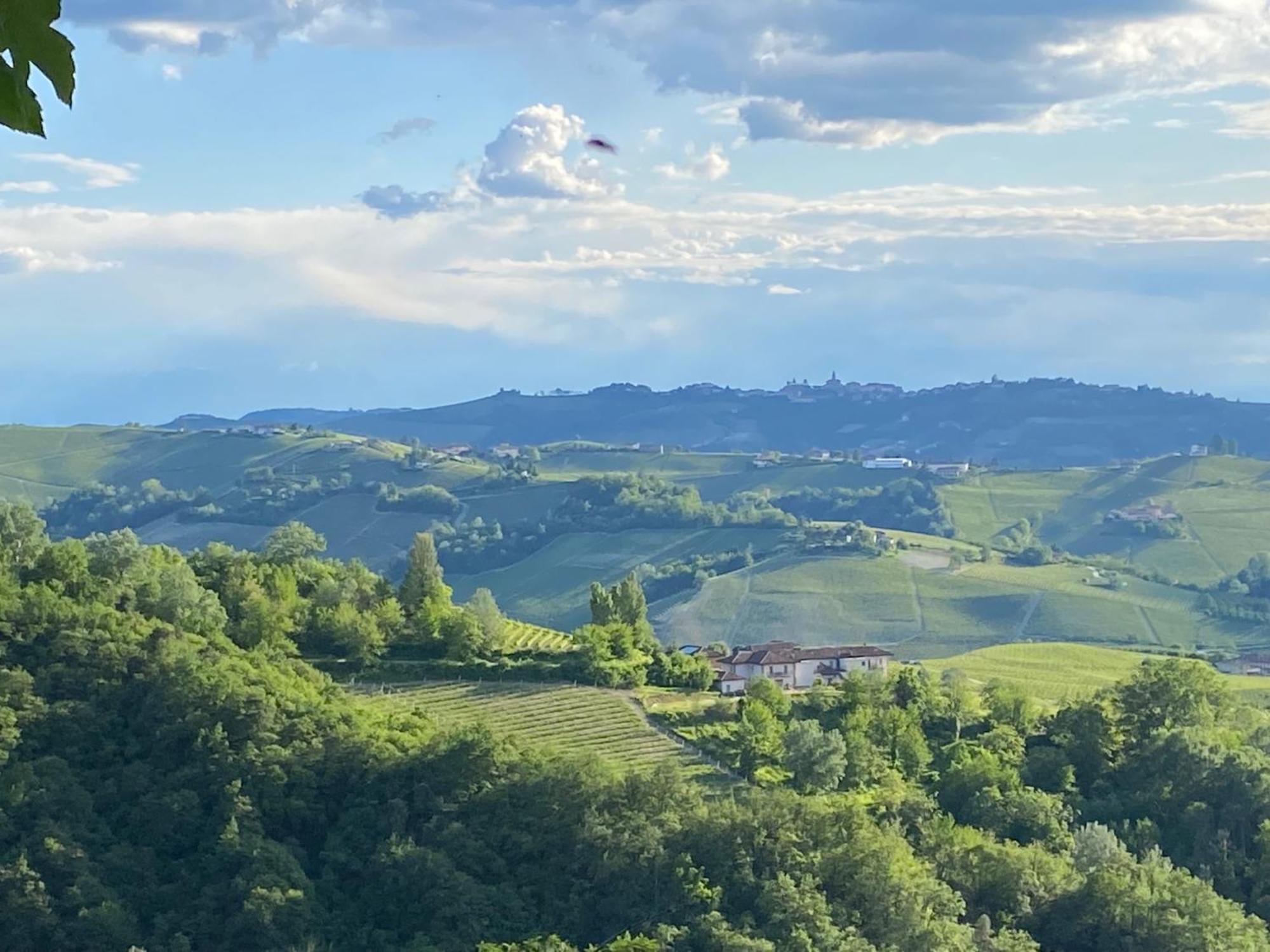 Viasavona46 Nel Cuore Delle Langhe Treiso Luaran gambar